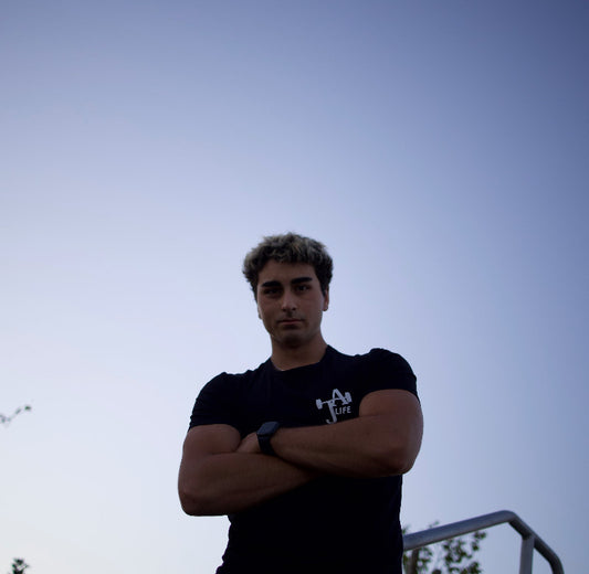 Lion Of Persia T-Shirt